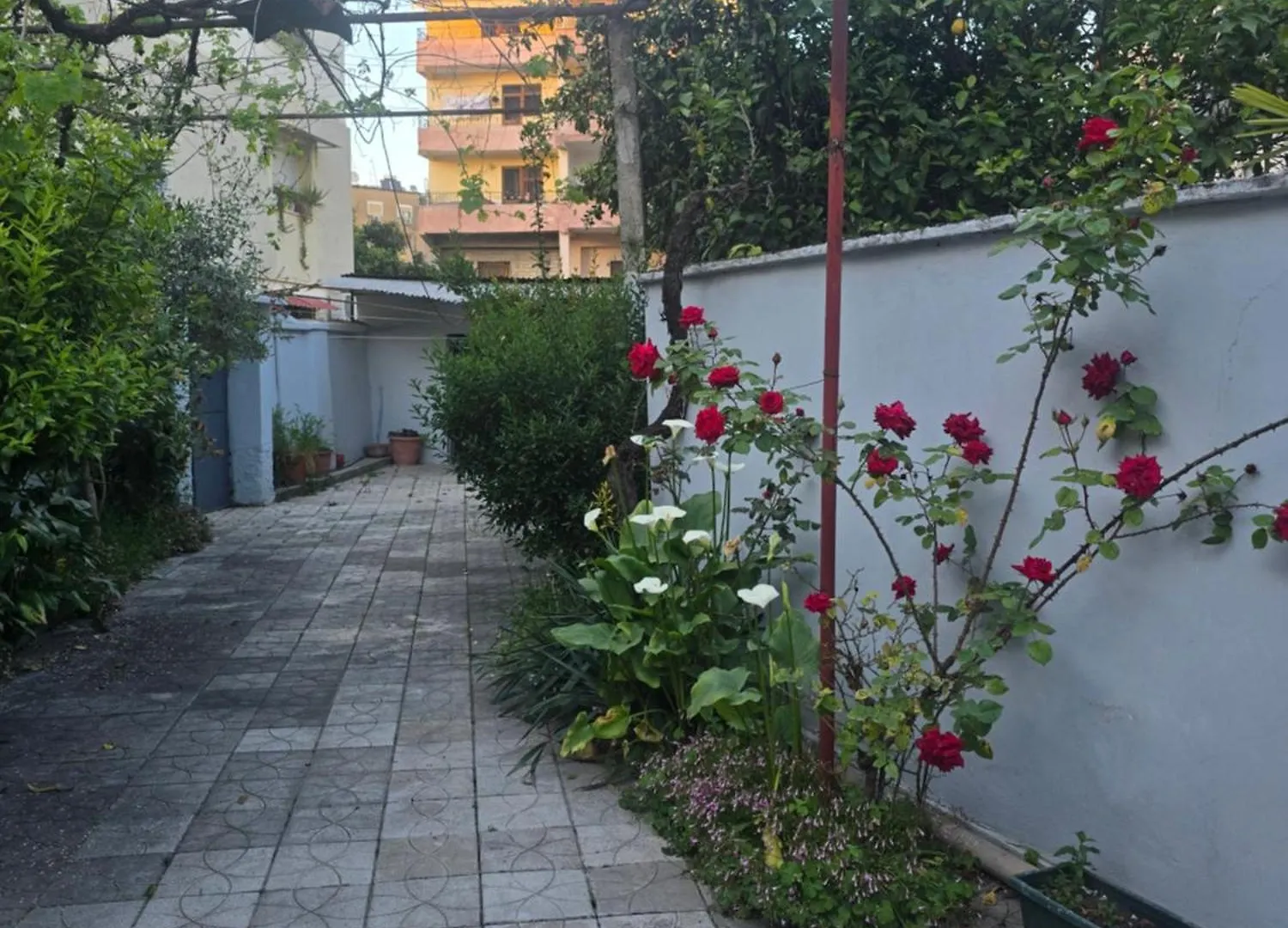 Joel House Tirana Apartment