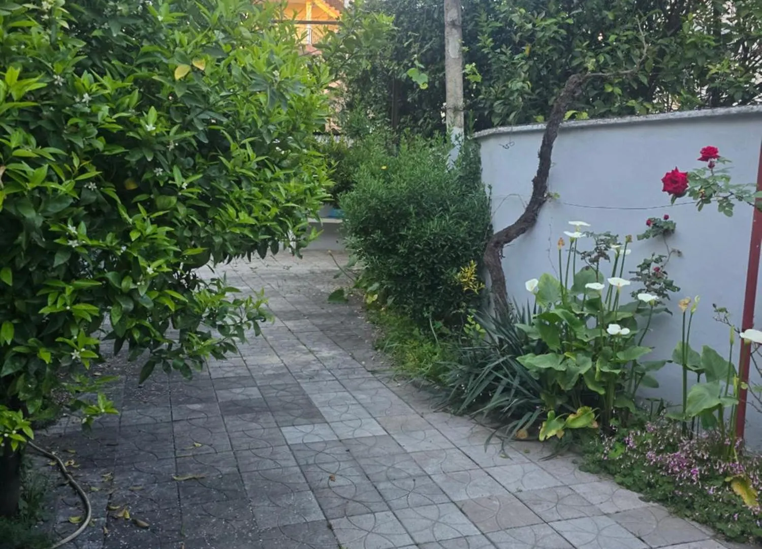 Joel House Tirana Διαμέρισμα